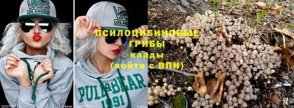 сатива Навашино