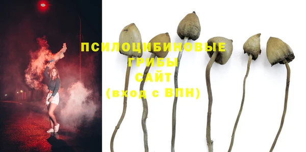 индика Михайловка