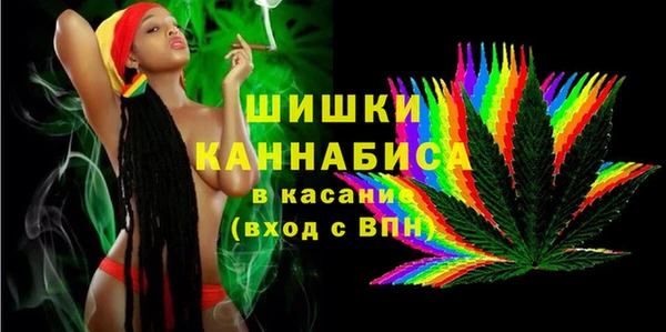 индика Михайловка